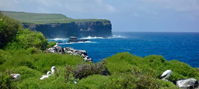 Excursão à Ilha Espanhola