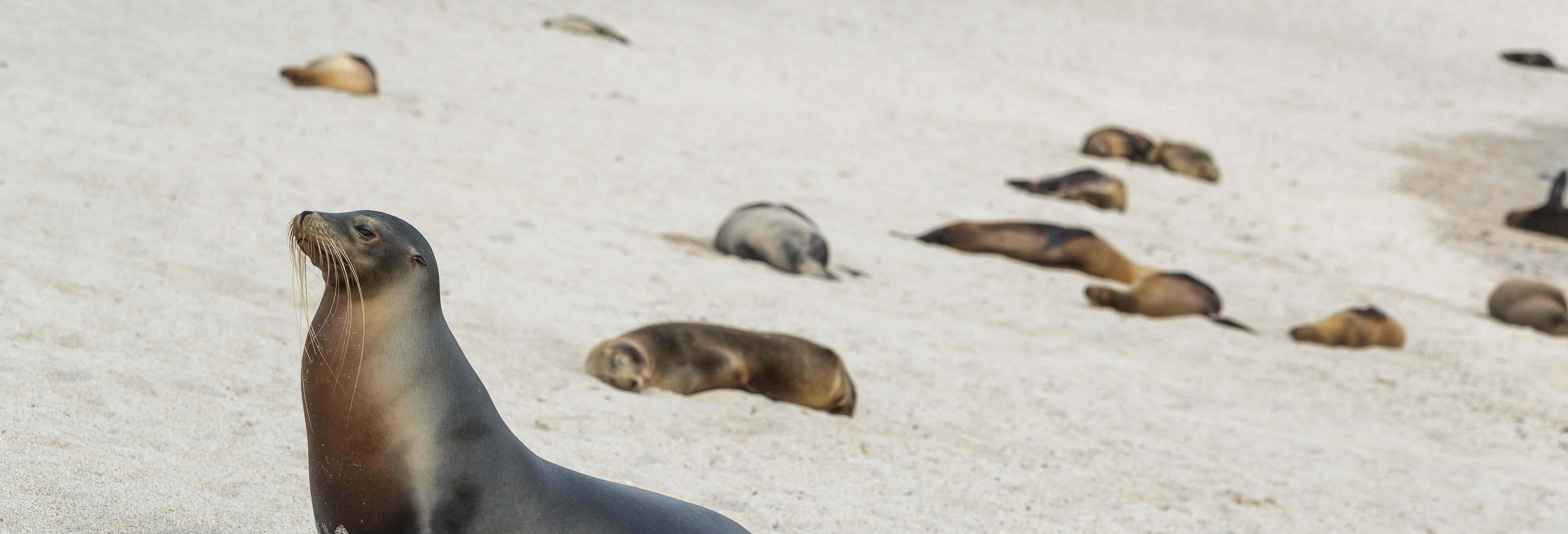 Excursiones de un día en Isla de San Cristóbal