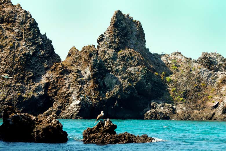Isola di Floreana