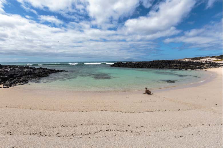 Spiaggia La Lobería