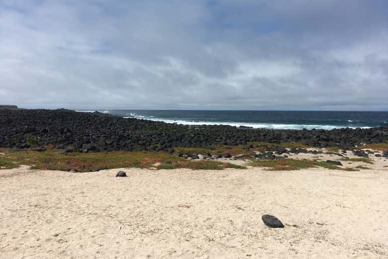 La Lobería beach
