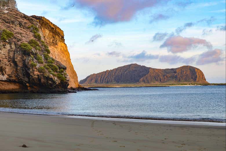 Plage de Punta Pitt