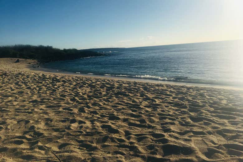Punta Carola Beach