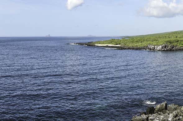 Tour pela parte alta da Ilha de São Cristóvão