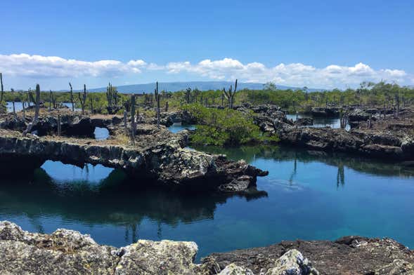 Excursión a Los Túneles