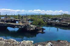 Excursión a Los Túneles