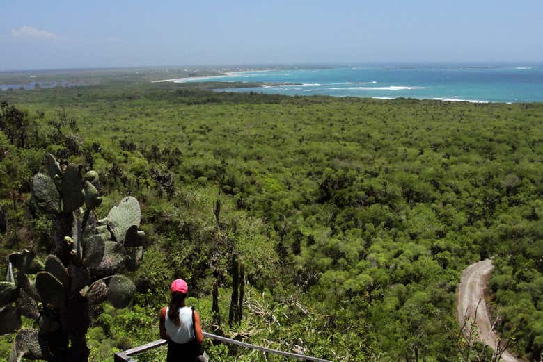 See the island from Cerro Orchilla viewpoint