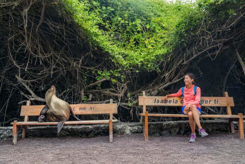 Conhecendo a fauna da Ilha Isabela