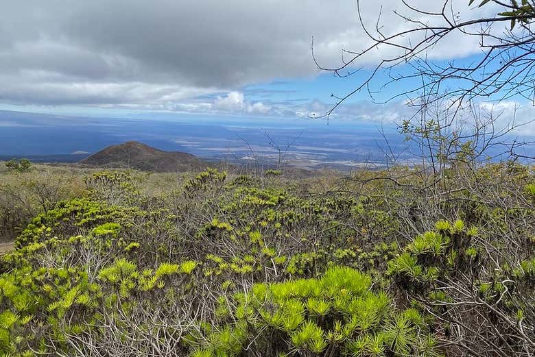 Vistas del volcán Trillizos