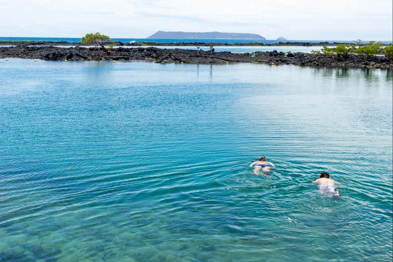 Snorkelling in Concha de Perla Bay