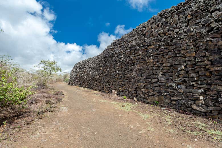 Wall of Tears