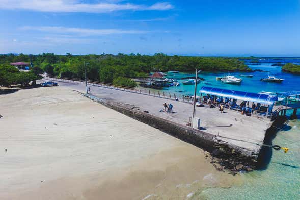 Tour panoramico di Isola Isabela