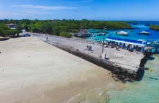 Visite panoramique de l'Île Isabela 