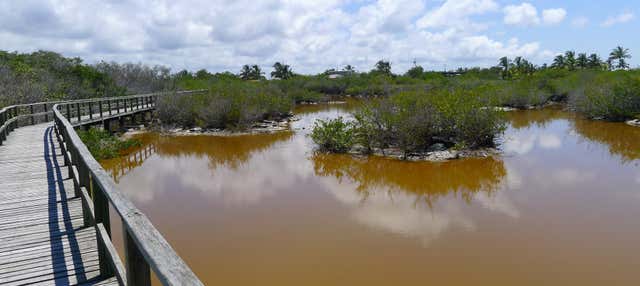 Balade à vélo aux zones humides de l'île Isabela