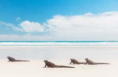 7-Day Tour of Isabela, Santa Cruz, & San Cristóbal Islands