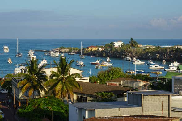 Santa Cruz Island Kayak or Paddleboard Hire