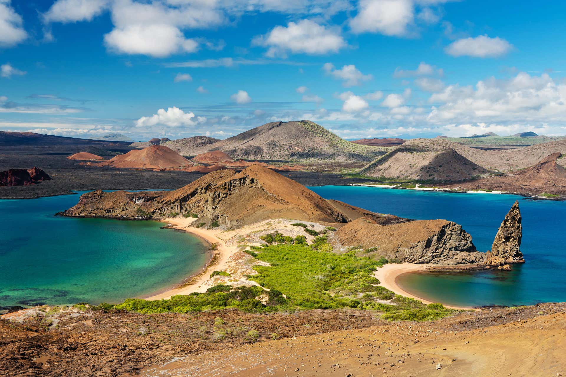 Buen sentimiento bar Planificado Crucero de 4 días por el noreste de las islas Galápagos desde isla Baltra,  Isla Santa Cruz