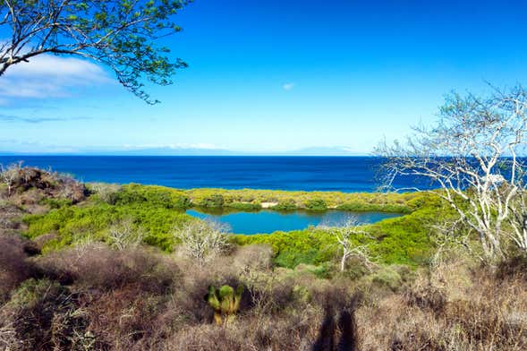 South Galapagos Islands 4-Day Cruise