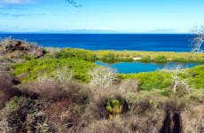 Cruzeiro de 4 dias pelo sul das ilhas Galápagos