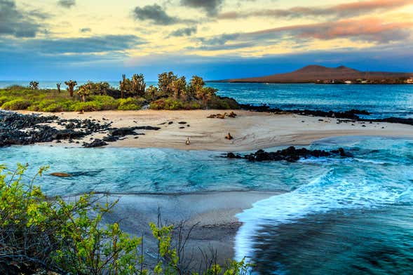 Crucero de 8 días en catamarán por el norte de las islas Galápagos