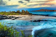 Crociera di 8 giorni al nord delle Galapagos