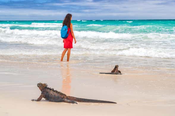 Escursione alla spiaggia di Tortuga Bay