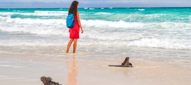 Excursión a Bahía Tortuga