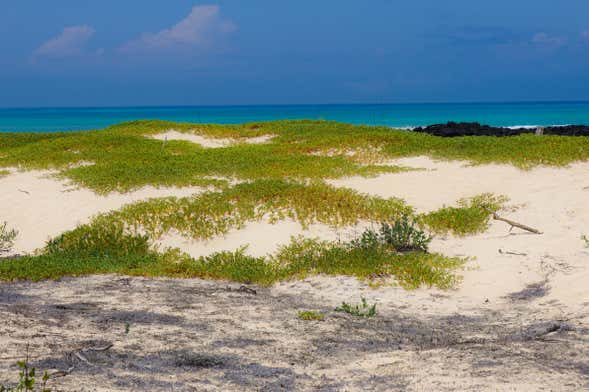 Cerro Mesa & Garrapatero Beach Tour