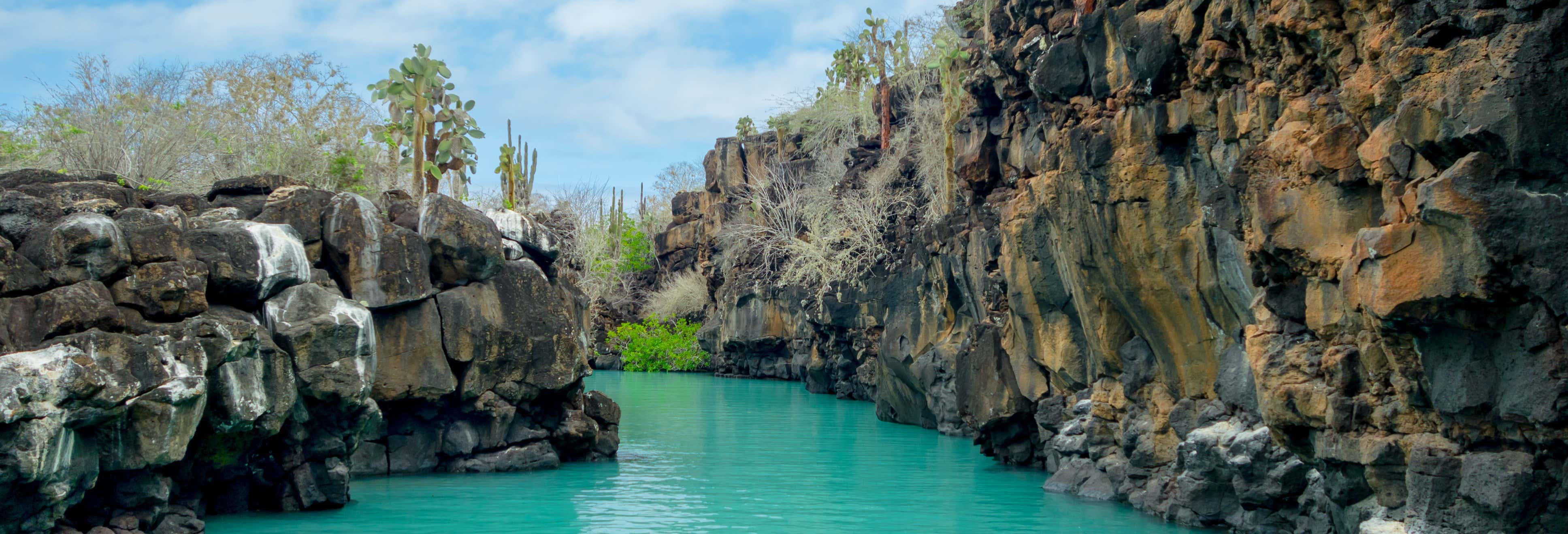 Day trips in Santa Cruz Island
