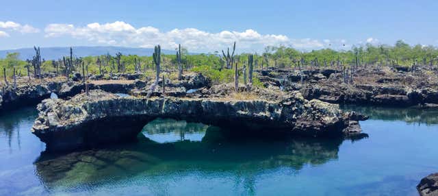 Excursión a Isla Isabela