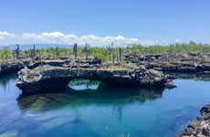 Excursão à Ilha Isabela