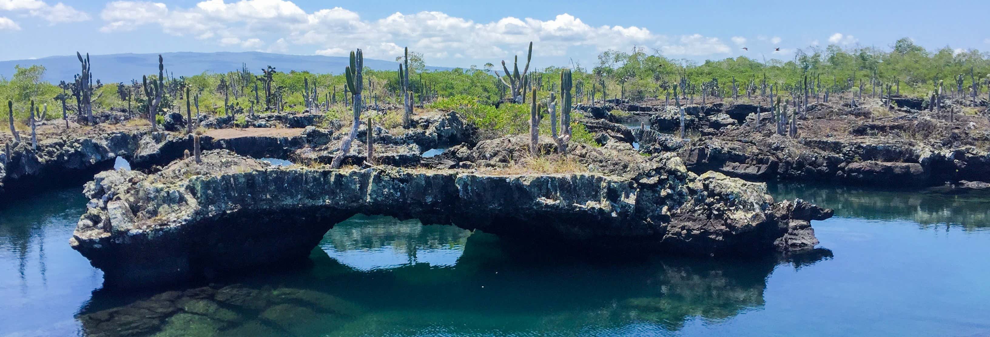 Excursões de um dia em Ilha de Santa Cruz