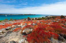 Escursione all'Isola South Plaza