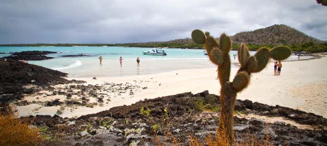 Excursión a la playa El Garrapatero