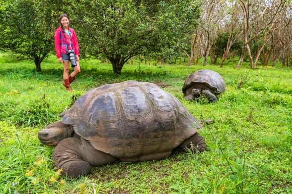 Excursão à reserva de tartarugas gigantes El Chato