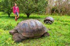 Excursión a la reserva de tortugas gigantes El Chato