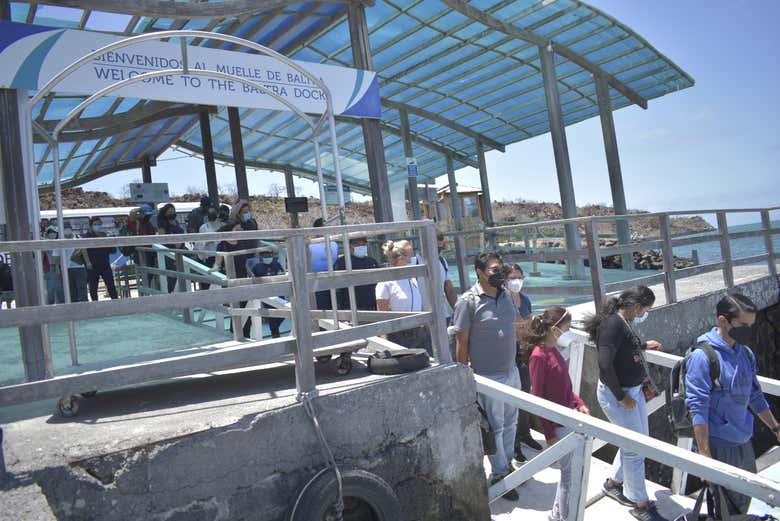 Llegar a la Isla Santa Cruz