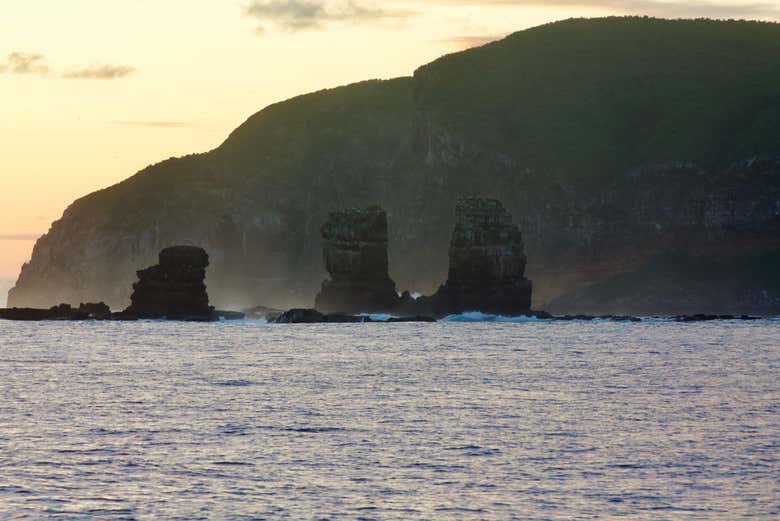 L'Arco di Darwin