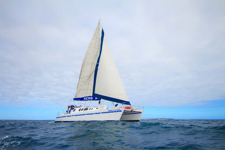 Catamarã em que faremos a viagem