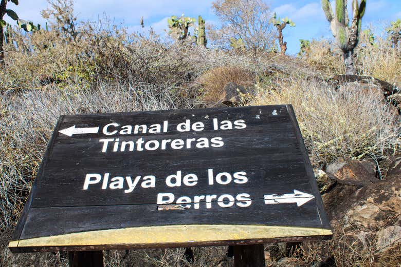 Disfrutando de la caminata