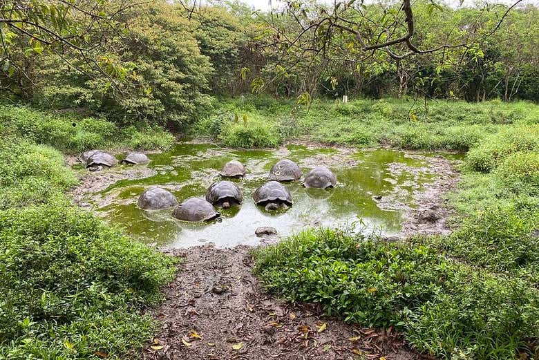 Profitez de l'excursion à la réserve El Chato