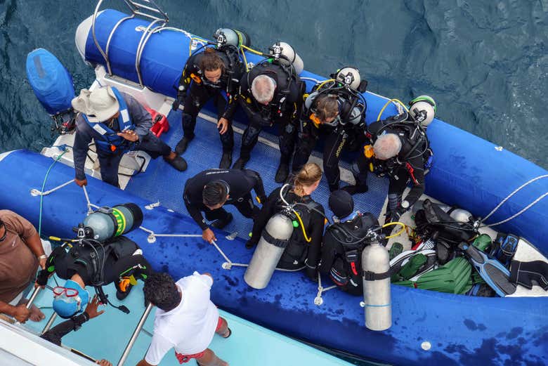Gruppi di sub nelle Galápagos