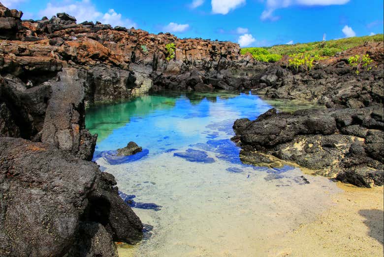 Genovesa Island