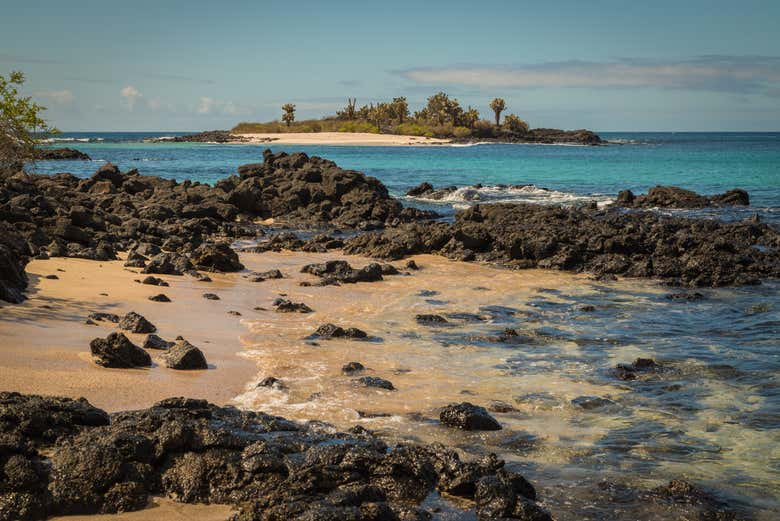 Plage de l'île Floreana