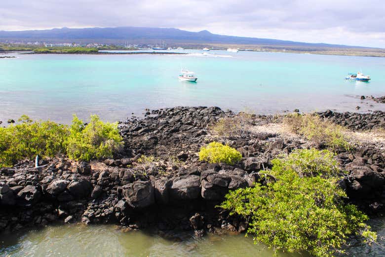 Isla Santa Cruz