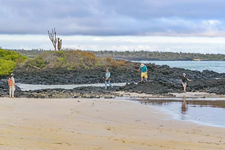 Parcourez la plage El Garrapetero