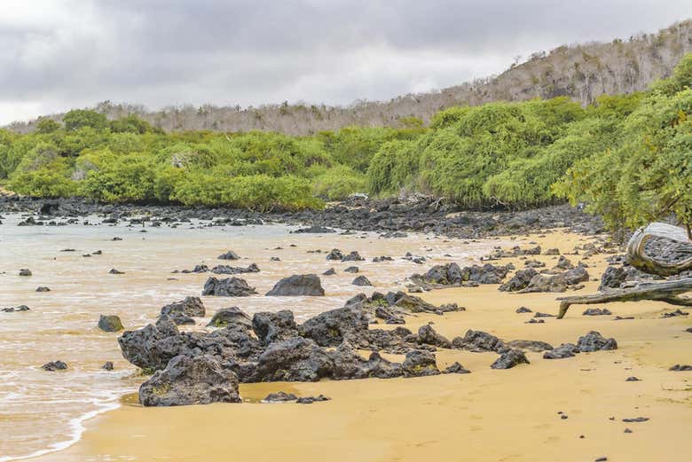 Garrapatero Beach