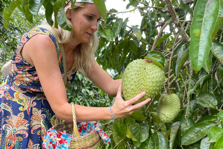 Harvest local ingredients for the best results
