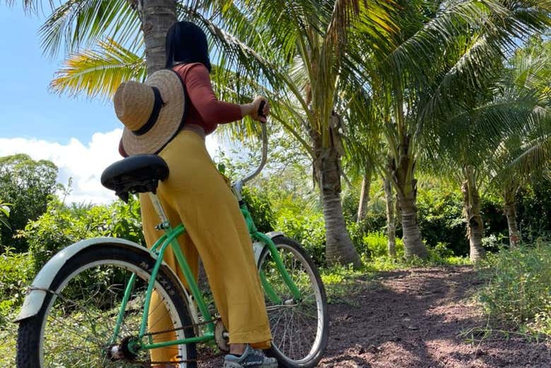 Percorso ciclistico a Isla Santa Cruz