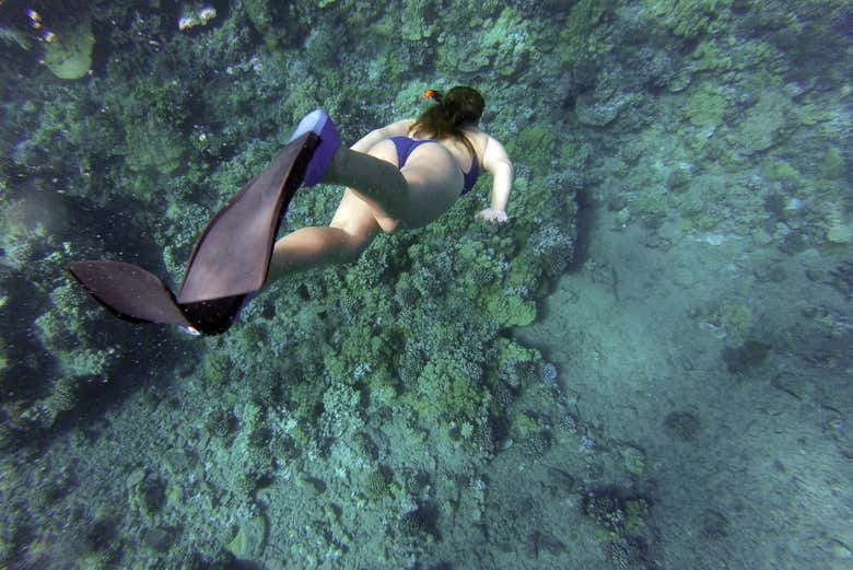 Snorkeling nei fondali dell'Isola Pinzón